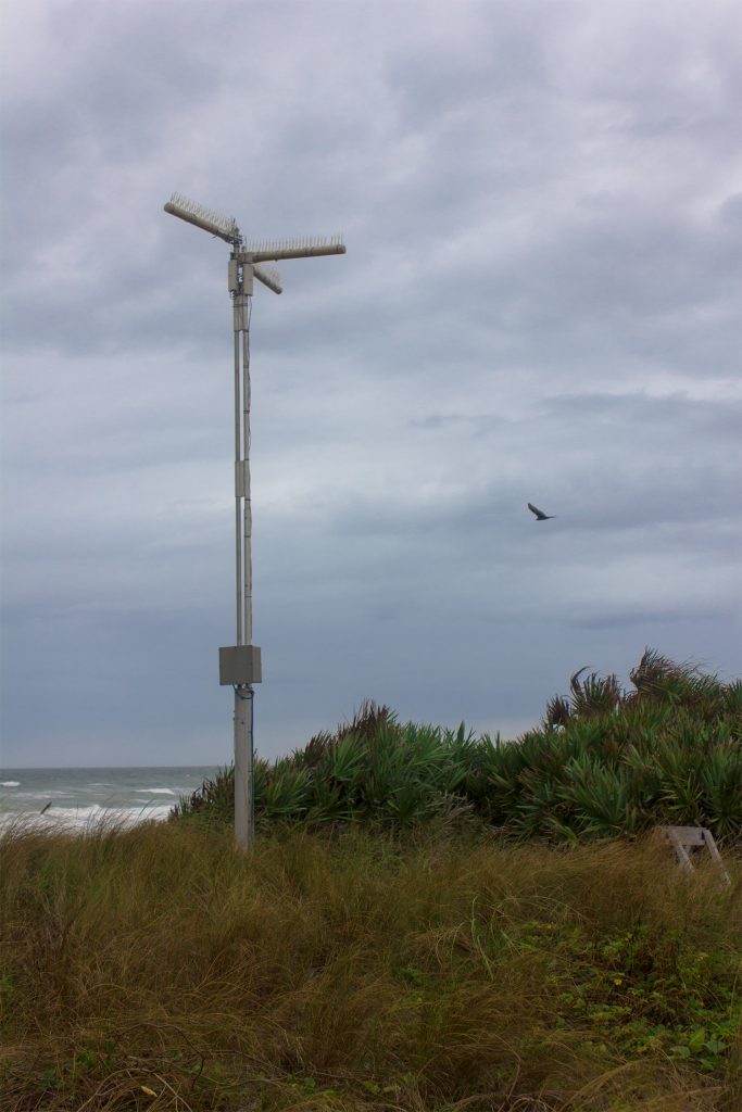 Relay Pole dune view